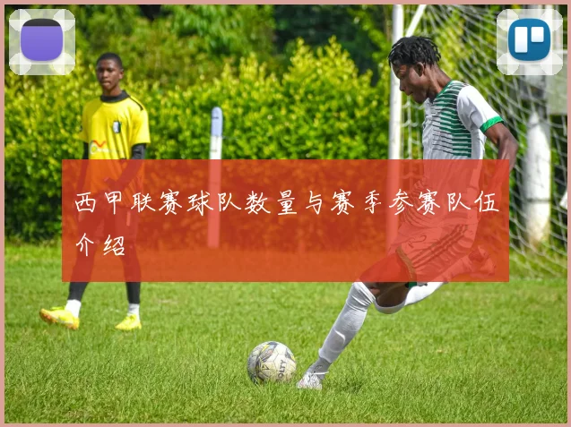 西甲联赛球队数量与赛季参赛队伍介绍